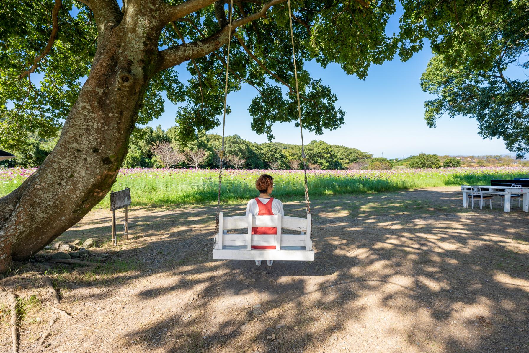 長崎県の絶景ブランコ#08 しまばら火張山花公園-0