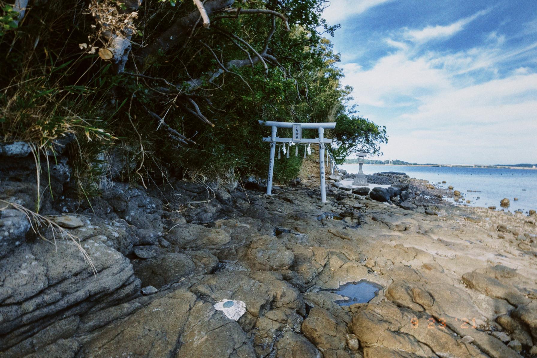 反時計回りに島の真裏へ行くと、島の中へ登っていける階段が現れます。-0