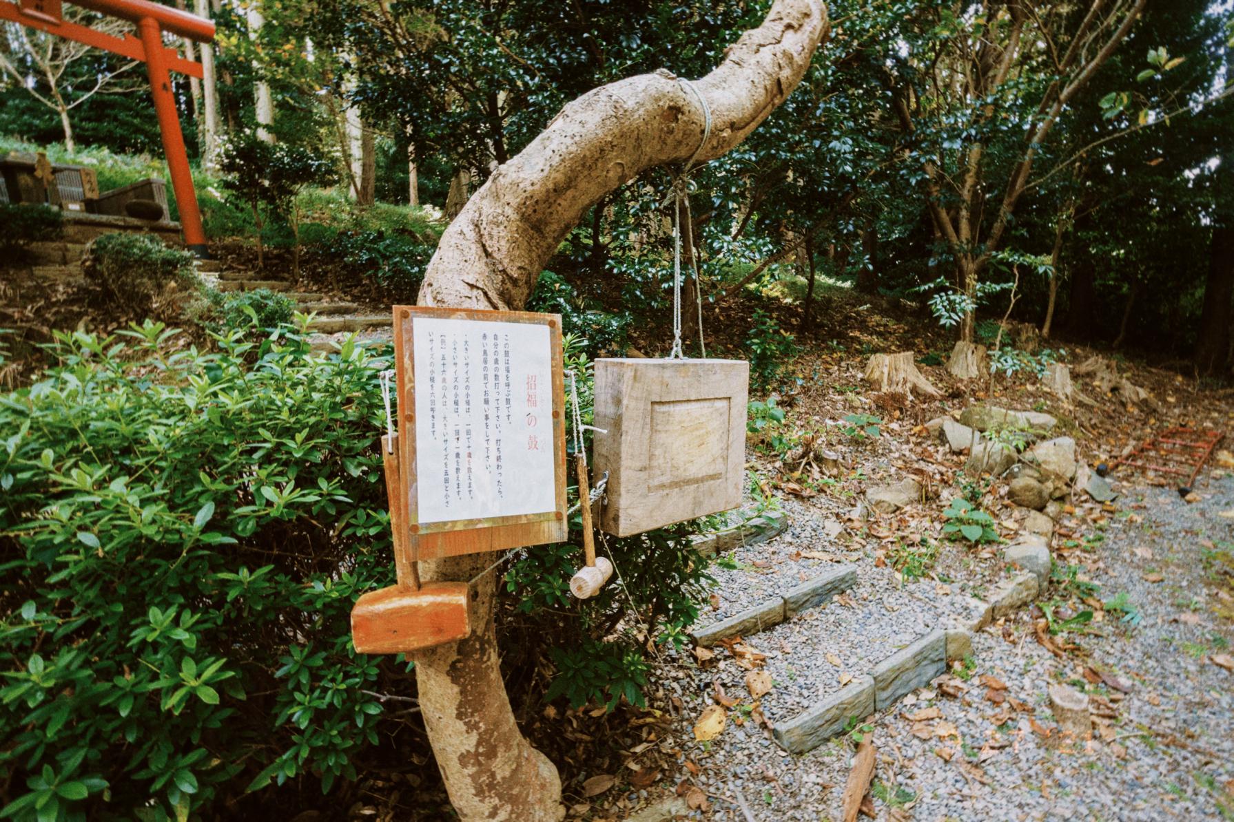 日本最古の神社・月讀神社でパワーをチャージ！-2