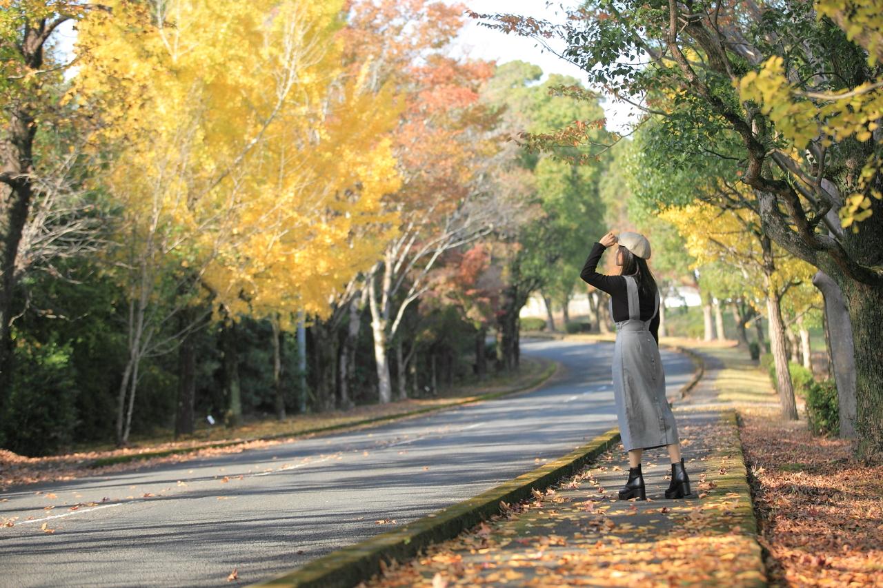 紅・黄・緑…色のバリエーションが豊富な、大学へと続く並木道-0