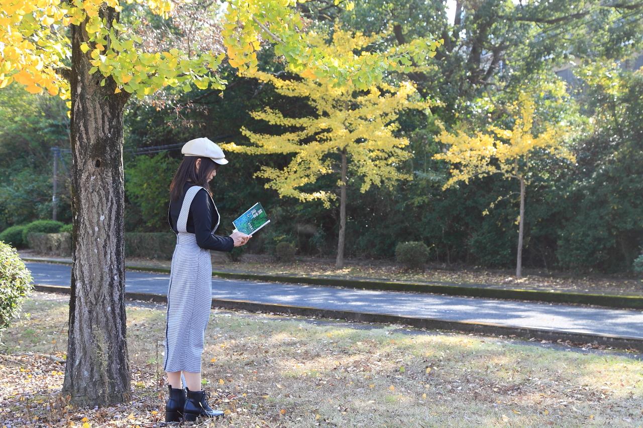 並木道の素敵な風景は、映画「精霊流し」のロケ地になるほど-3