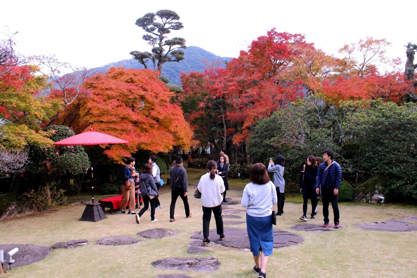 行仙嶽を借景に造られた美しい庭園を散策しましょう-0