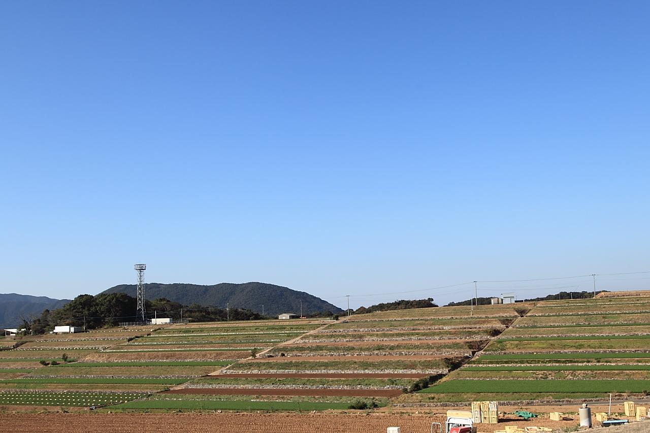 「長崎県のだんだん畑十選」認定の地…飯盛じゃがいも畑の景観-1