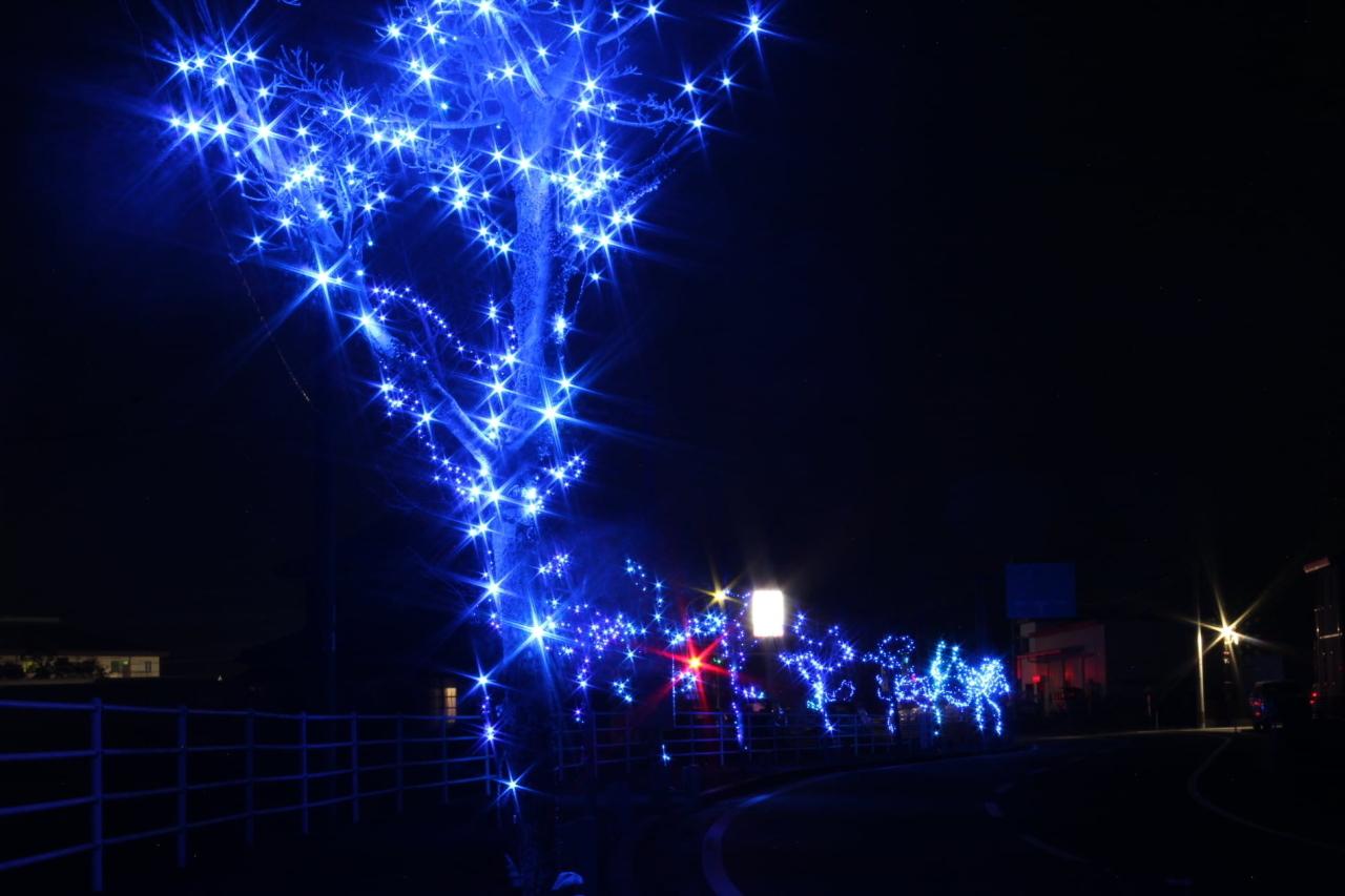 日本最大級のクリスマスツリー「フェスティビタス・ナタリス」-2