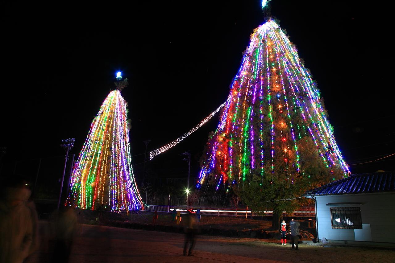 日本最大級のクリスマスツリー「フェスティビタス・ナタリス」-0