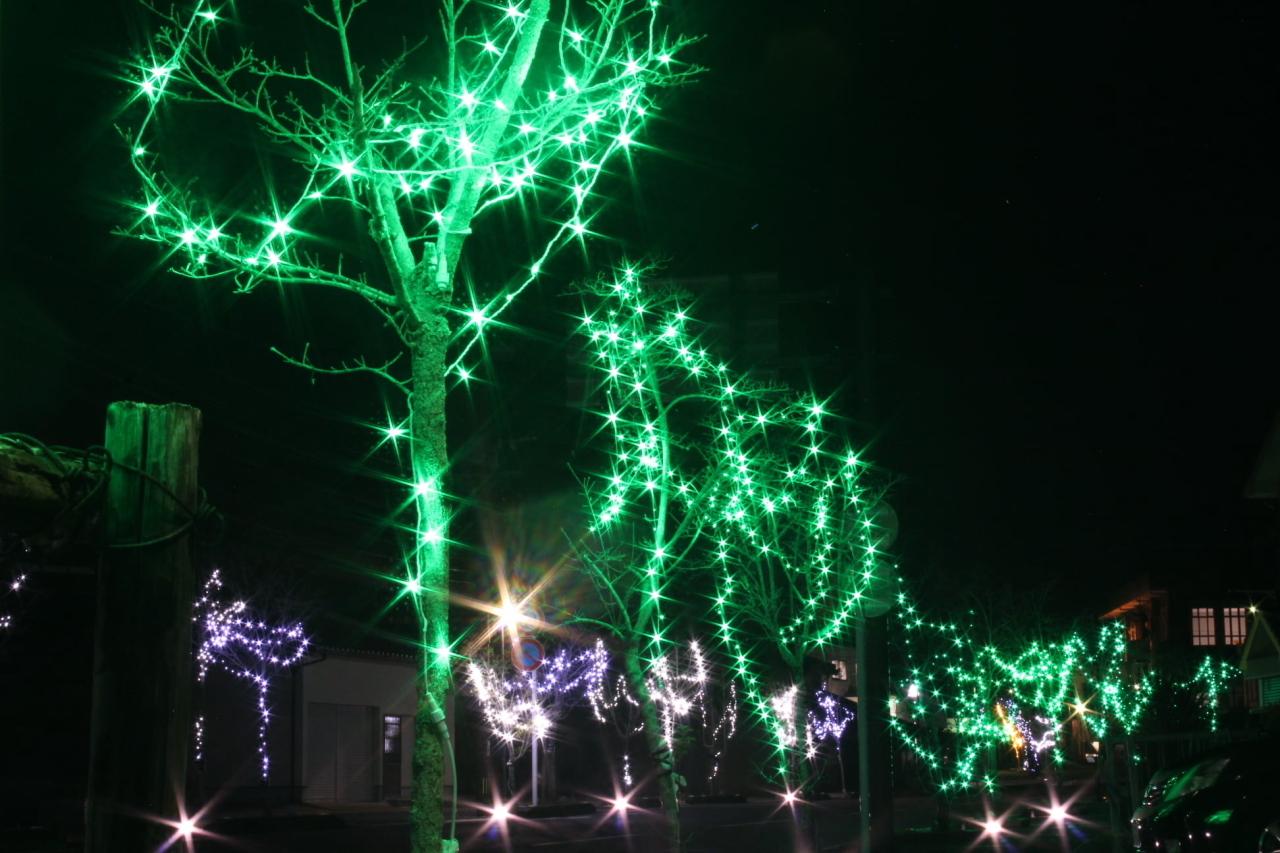 日本最大級のクリスマスツリー「フェスティビタス・ナタリス」-3