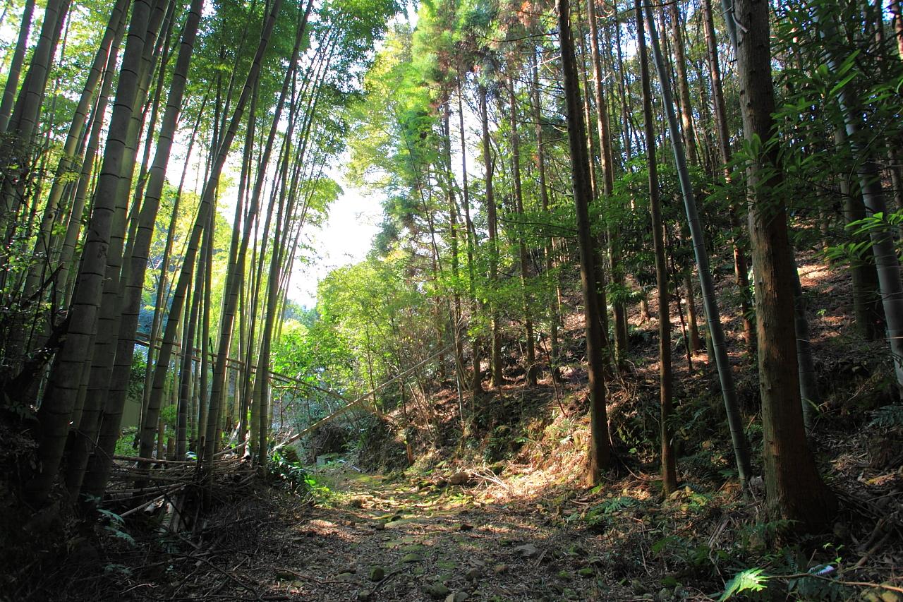 歴史に思いを馳せる…風情ある苔むした街道【赤松坂】-0