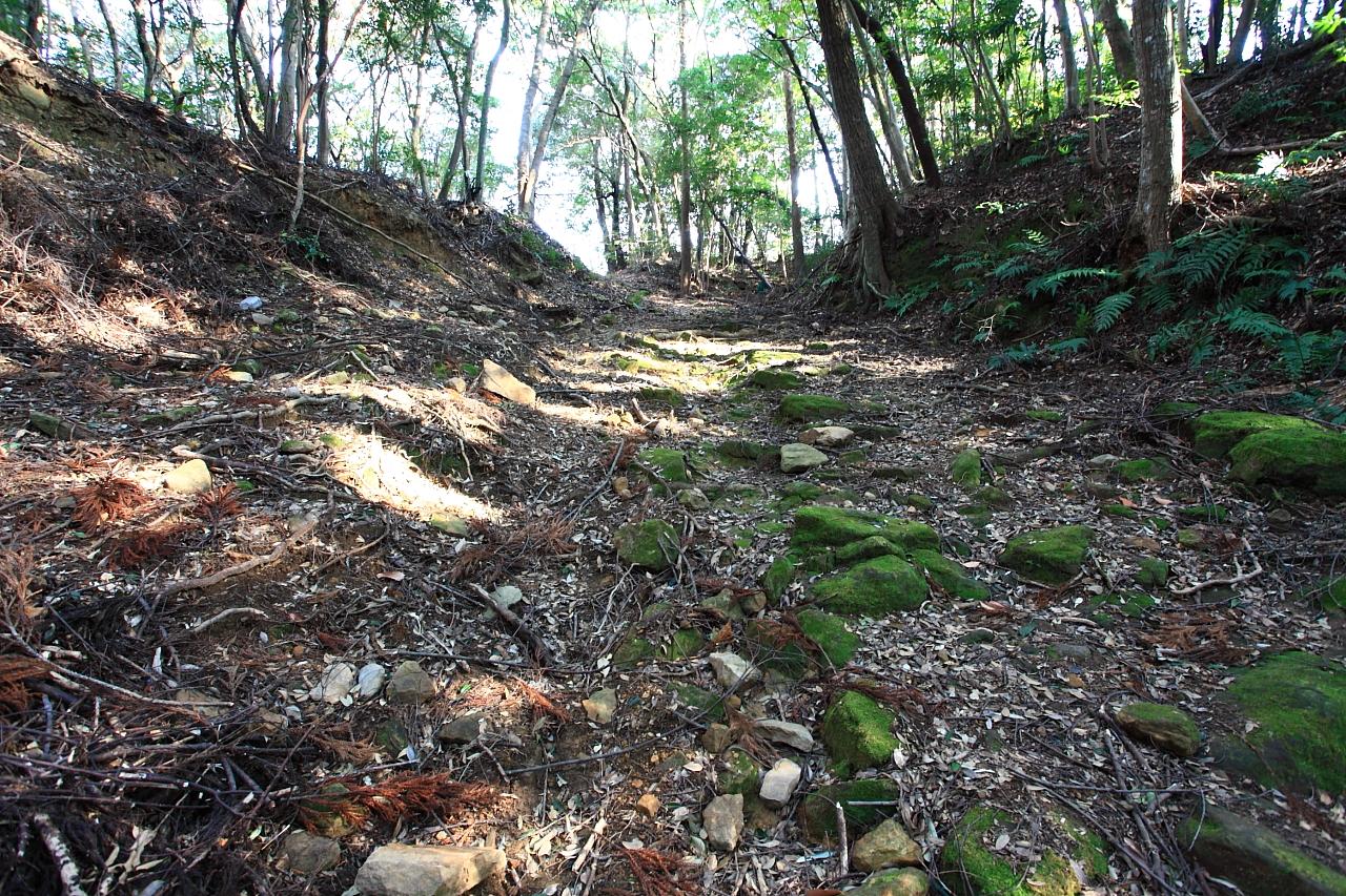 歴史に思いを馳せる…風情ある苔むした街道【赤松坂】-1