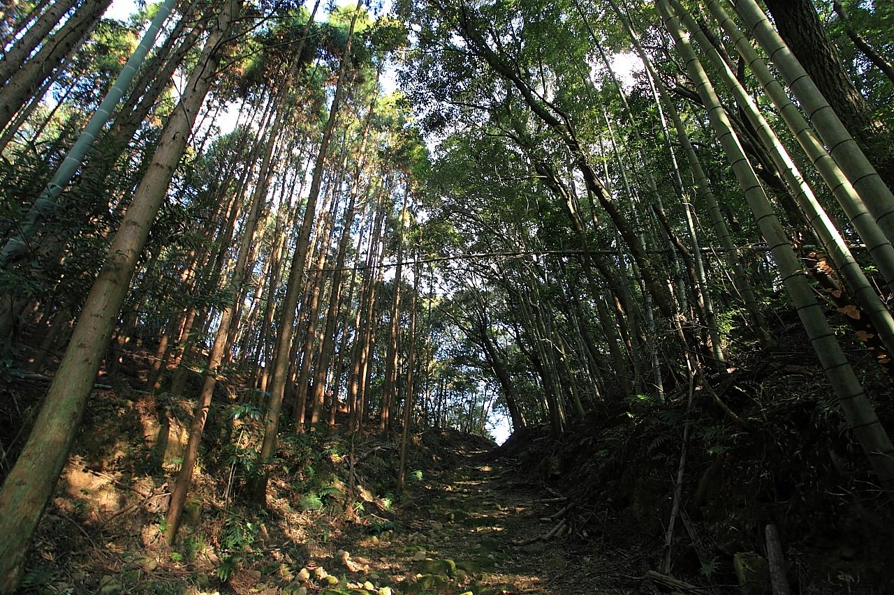 歴史に思いを馳せる…風情ある苔むした街道【赤松坂】-4