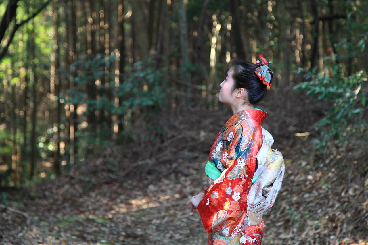 頂上の先に見える光を使ってポートレートを撮ってみよう-1