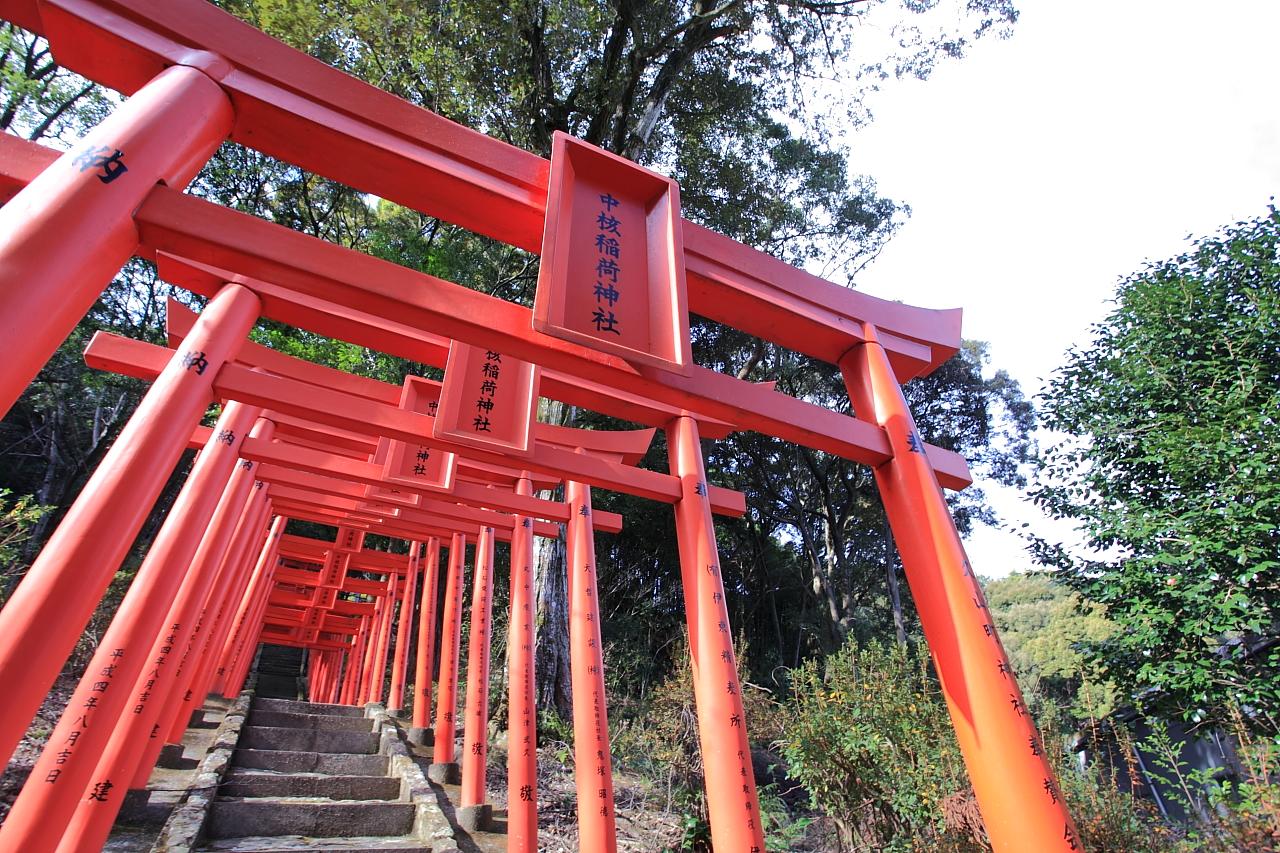 斜面づたいにズラリと鳥居が並ぶフォトジェニックスポット【中核稲荷神社】-2