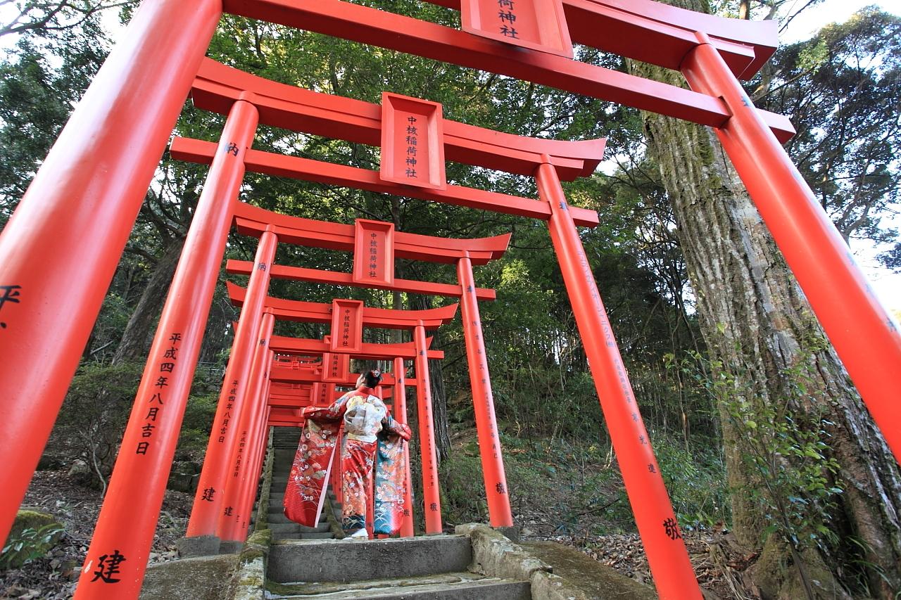 斜面づたいにズラリと鳥居が並ぶフォトジェニックスポット【中核稲荷神社】-0