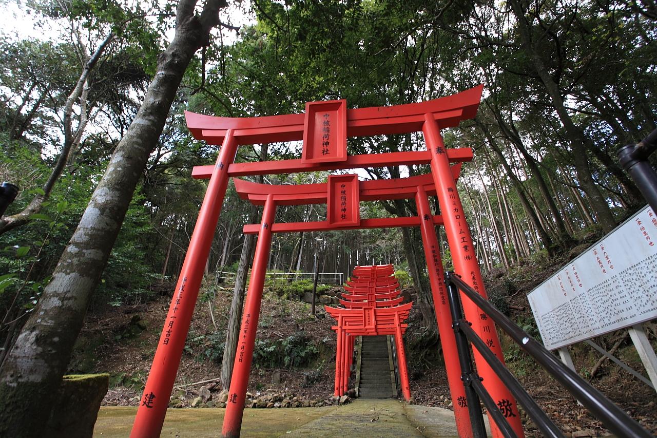 斜面づたいにズラリと鳥居が並ぶフォトジェニックスポット【中核稲荷神社】-3