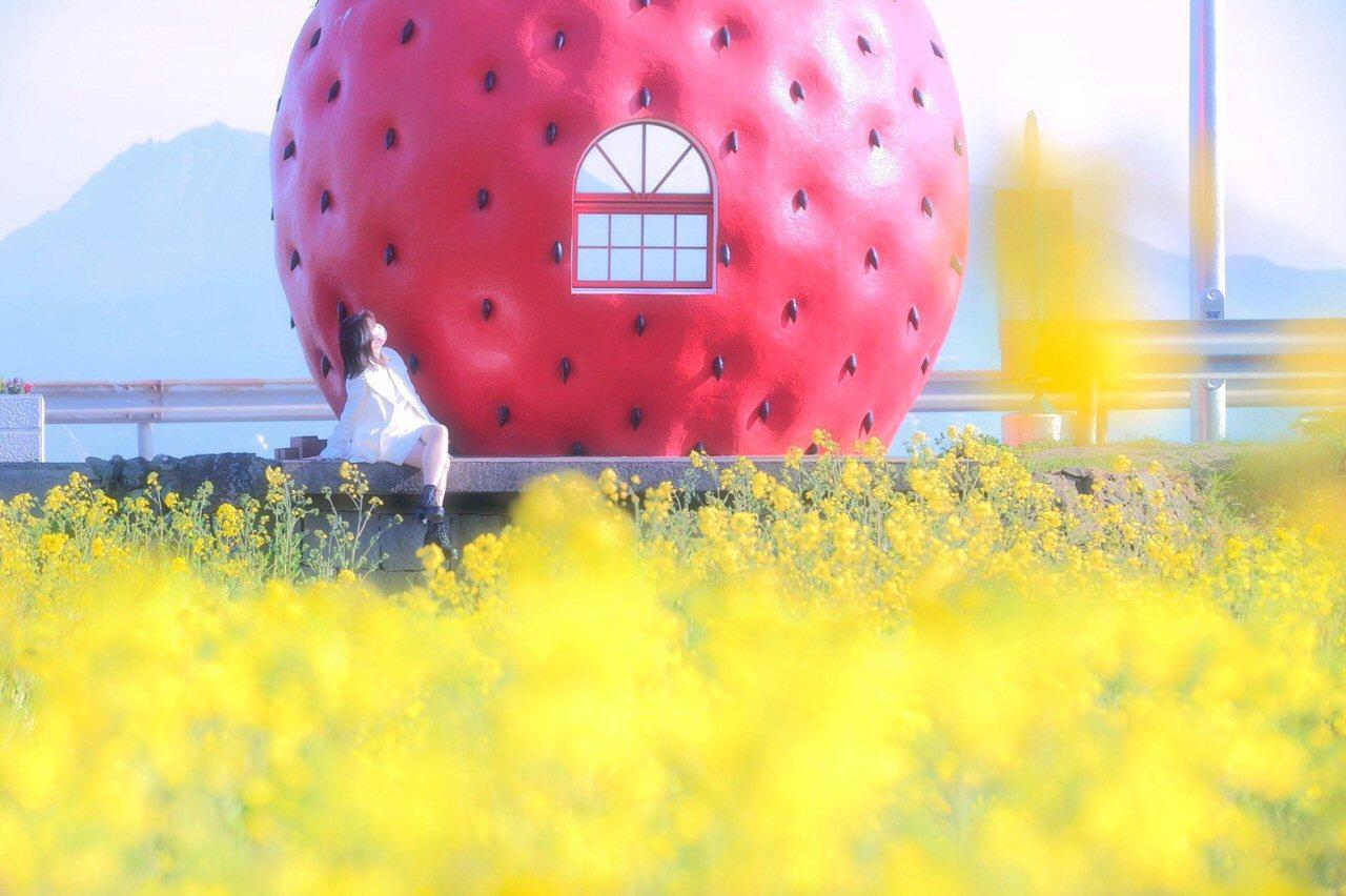 季節の花畑で最高に映えるイチゴ＆メロンのバス停【井崎バス停】-0