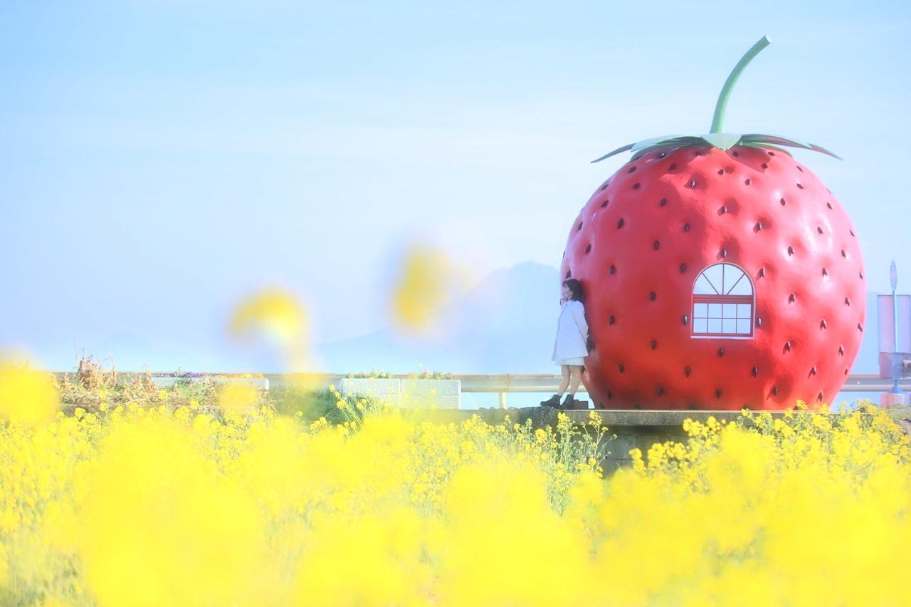 季節の花畑で最高に映えるイチゴ＆メロンのバス停【井崎バス停】-1