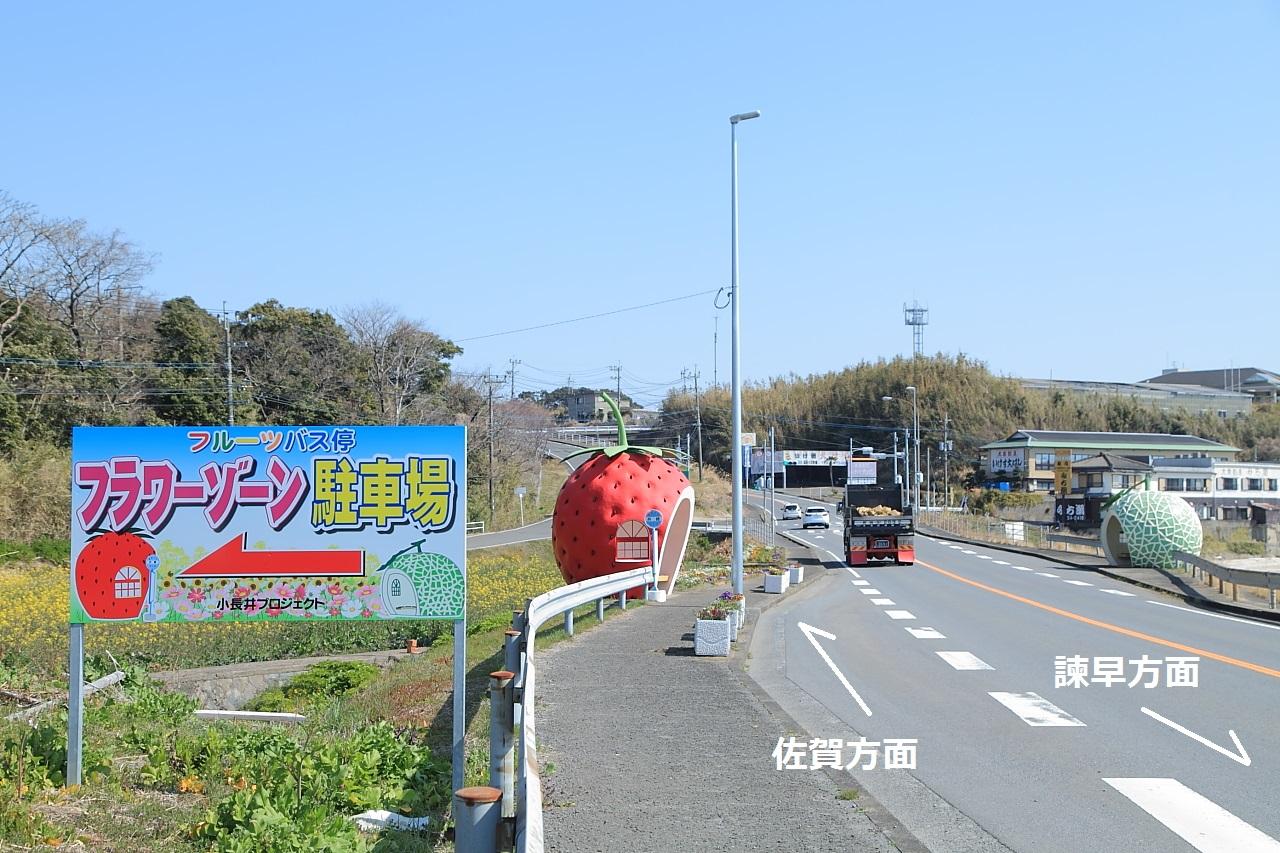 花に埋もれたような写真が撮れる「イチゴへの道」-3