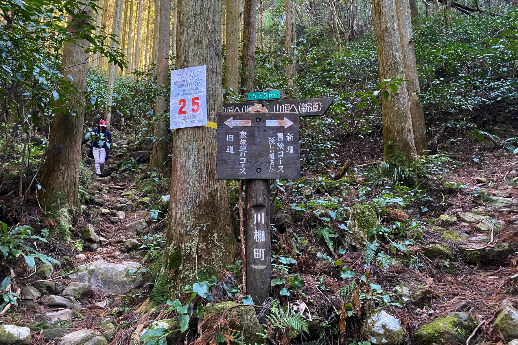 分岐点にやってきた！冒険コースをチョイス！-0