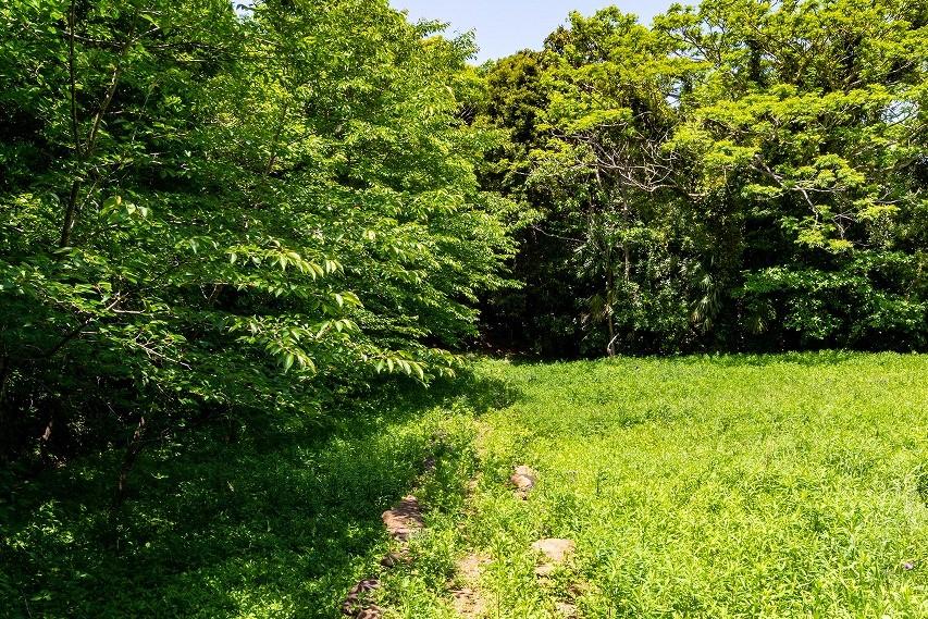 軽い山歩き気分で進みましょう-4