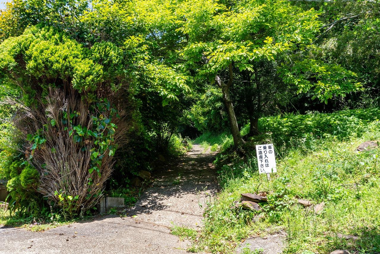 軽い山歩き気分で進みましょう-0