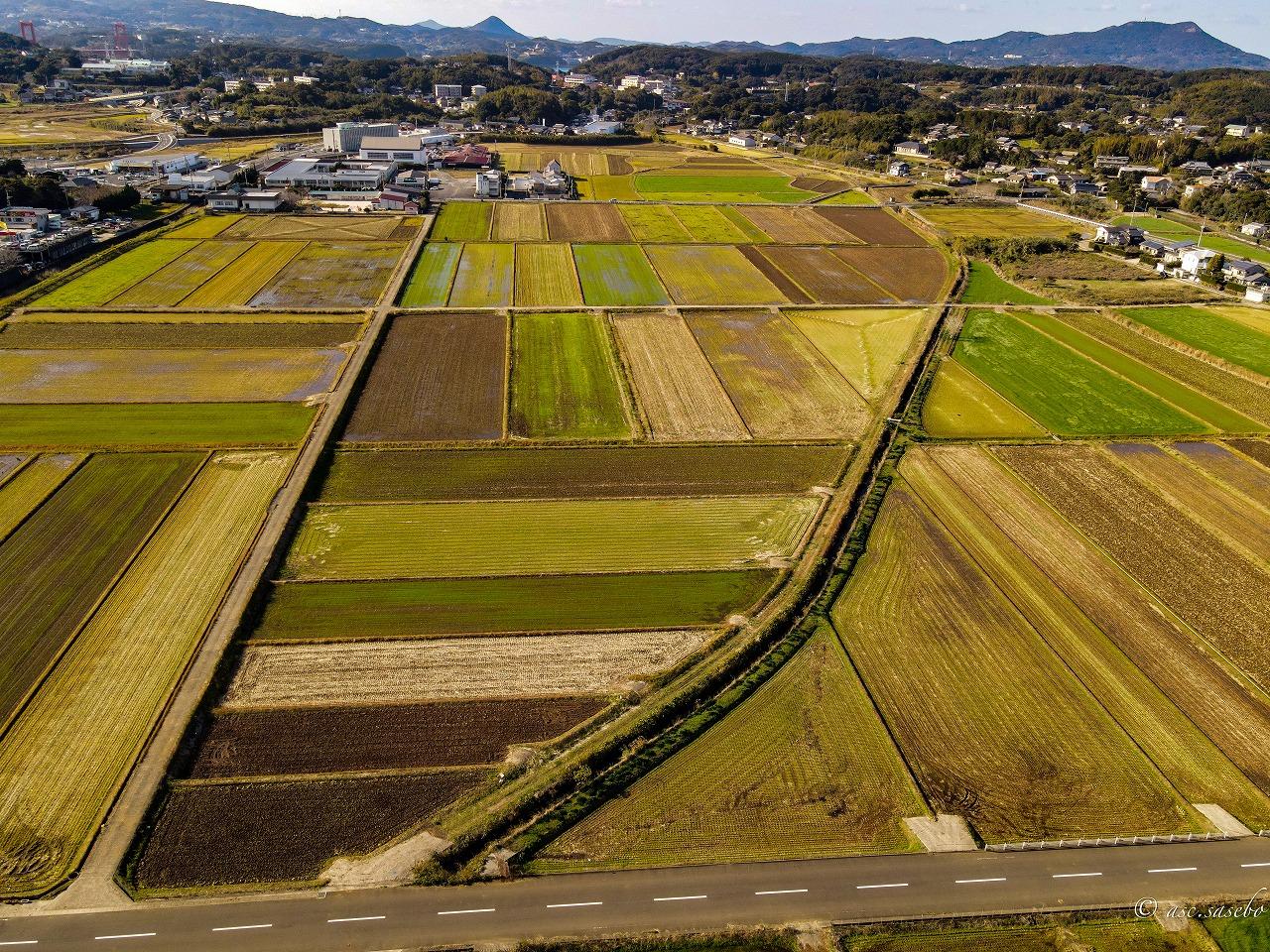 平戸市田平町にある里田原遺跡-0