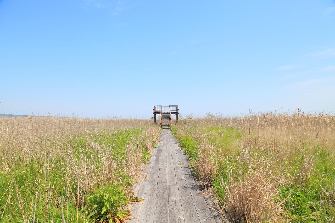 一年中「絵になる」風景【ヨシ原の展望台】-0