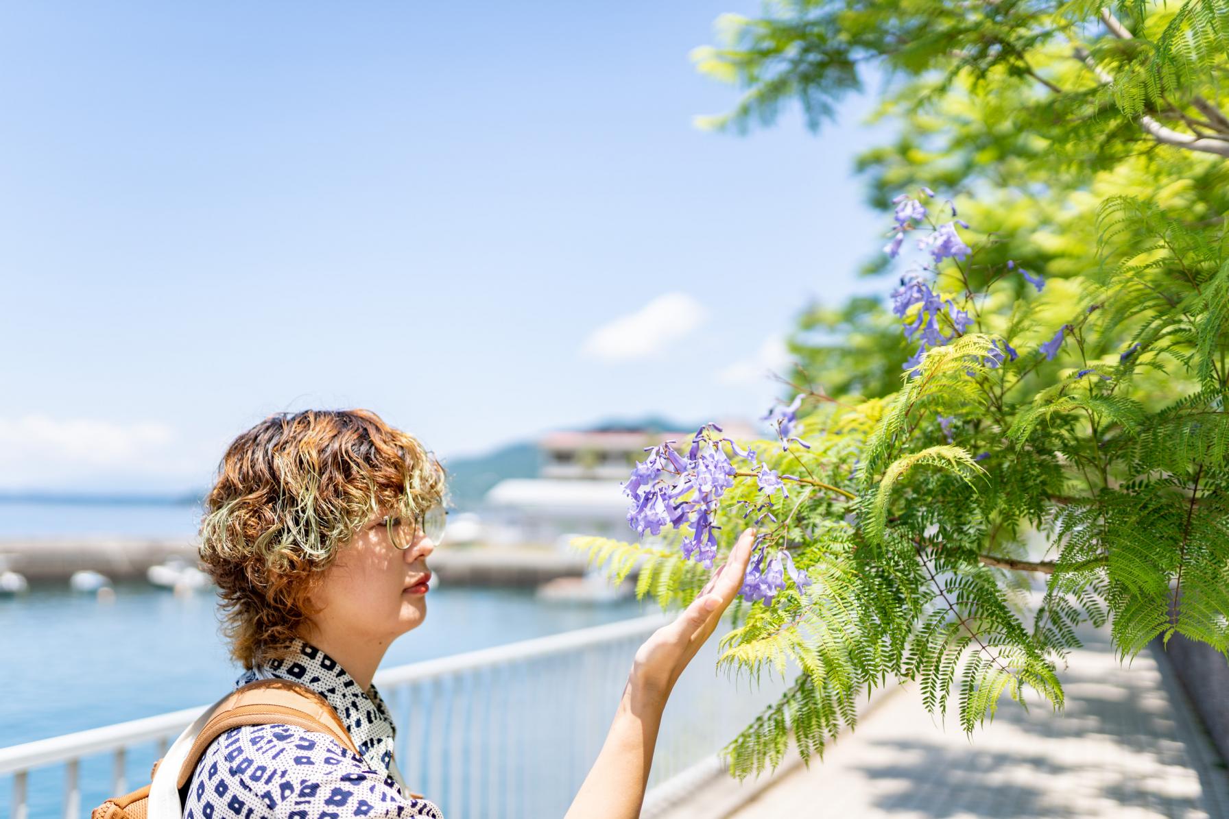 海沿いの遊歩道は小浜温泉の情緒がたっぷり！-1