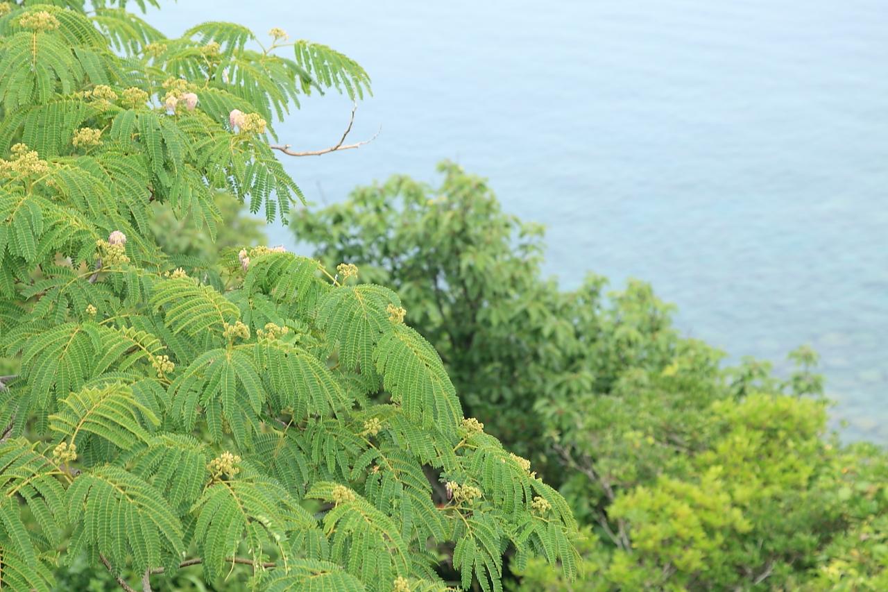 【伊王島展望台】伊王島の最北端絶壁の上に立つ展望台-4