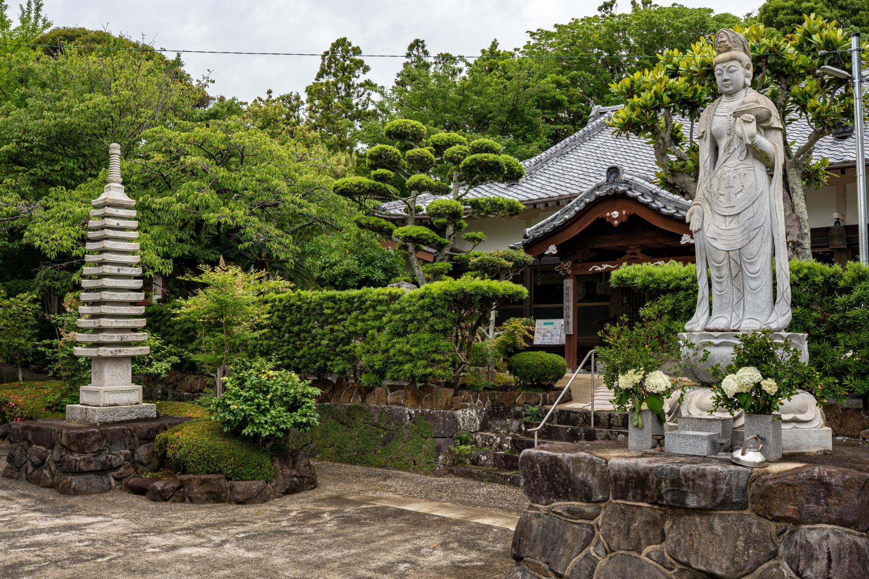 【壱岐紫陽花スポット①】紫陽花寺「西福寺」にやってきた！-0