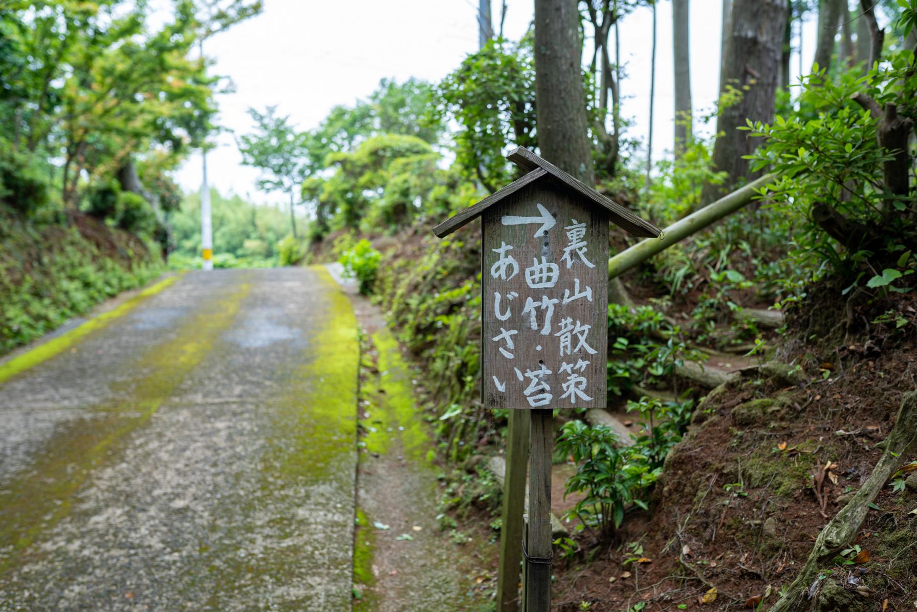 紫陽花寺「西福寺」の本領は裏山にあり！じっくり散策がおすすめ-0