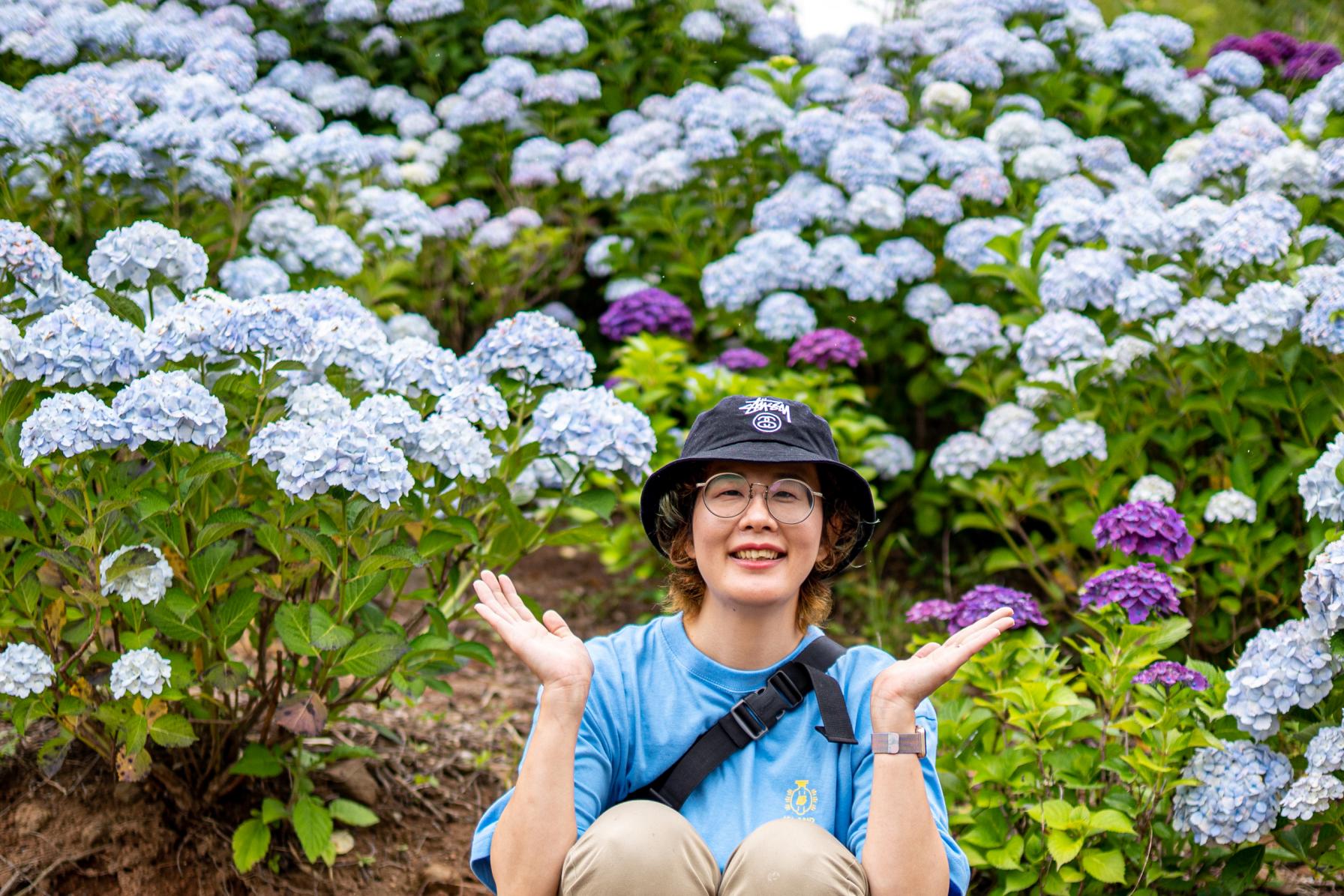 ポトレ勢にはたまらん！モリモリの紫陽花に埋まる写真を！-1