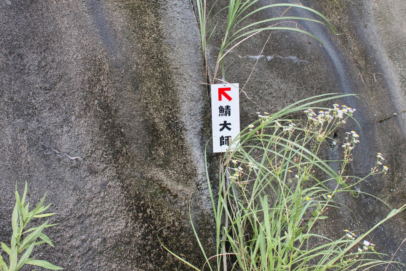 勇気を出して行ってみよう！-0
