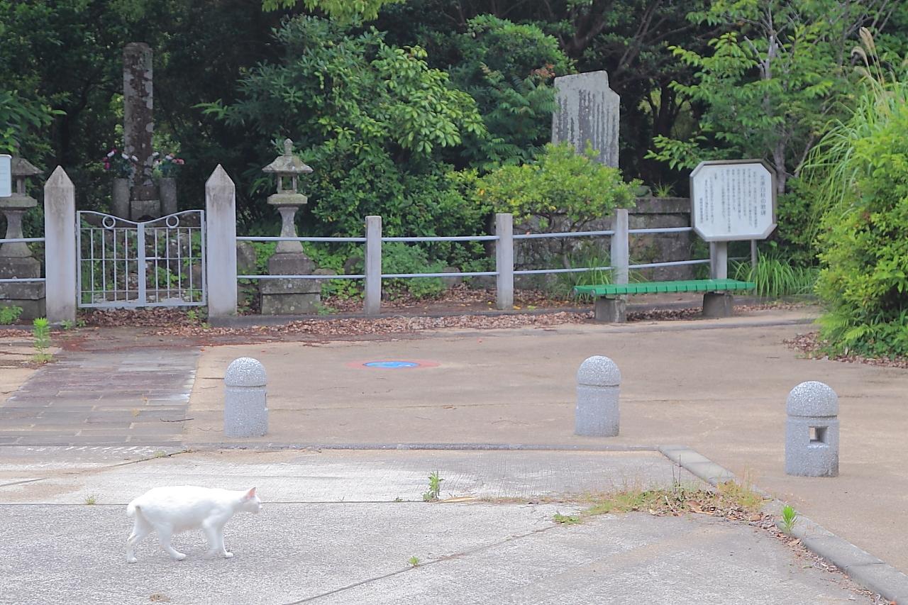 【墓碑・歌碑】並んで建つ俊寛僧都の墓碑と北原白秋の歌碑-3