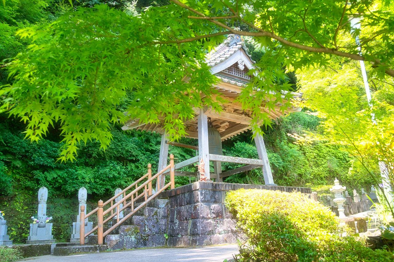 緑に包まれた参道-1