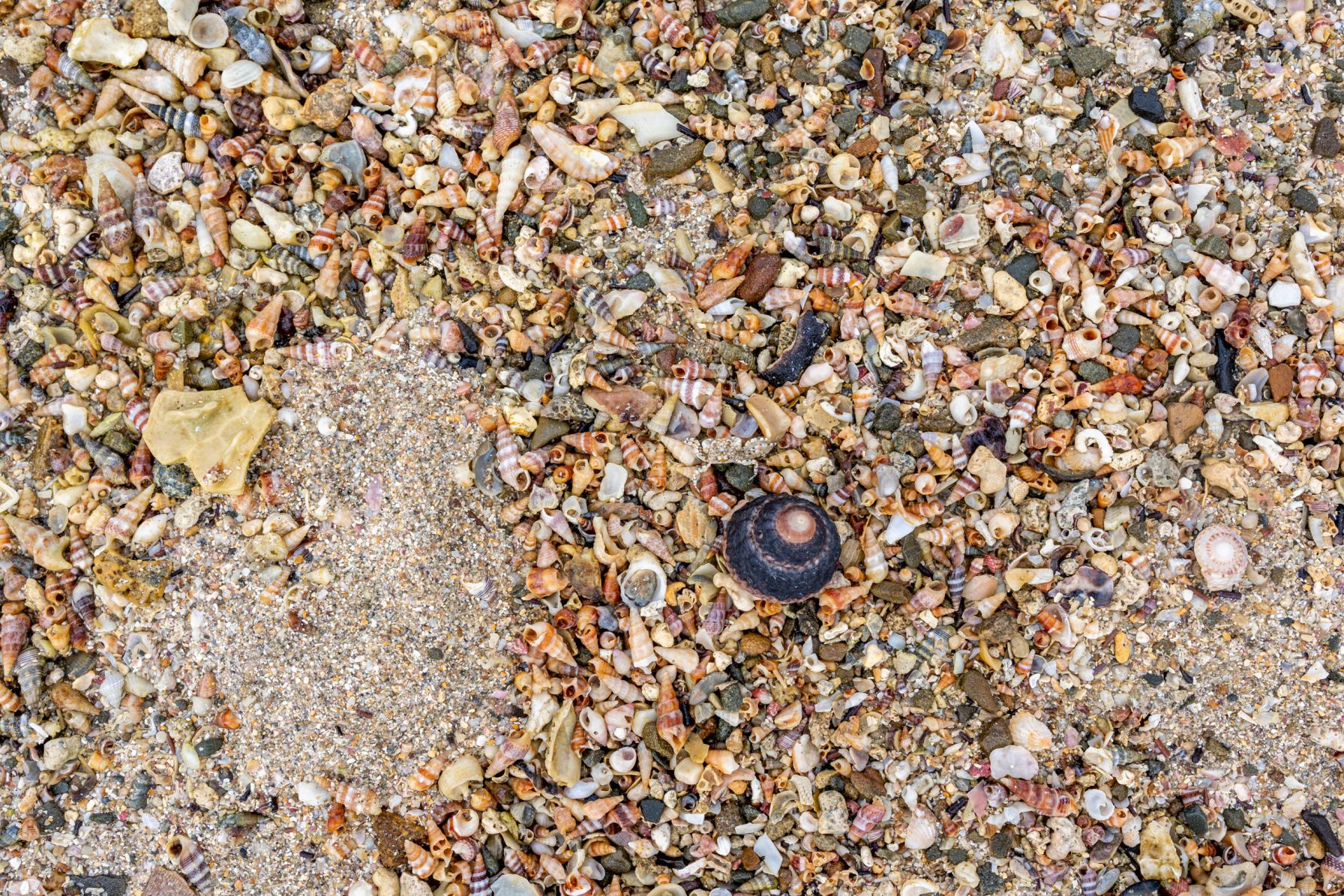 驚きのクリア度は、まるでモルディブ！辰ノ島海水浴場-1