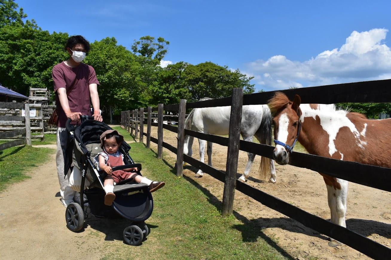 小動物園でドキドキの体験を！-0