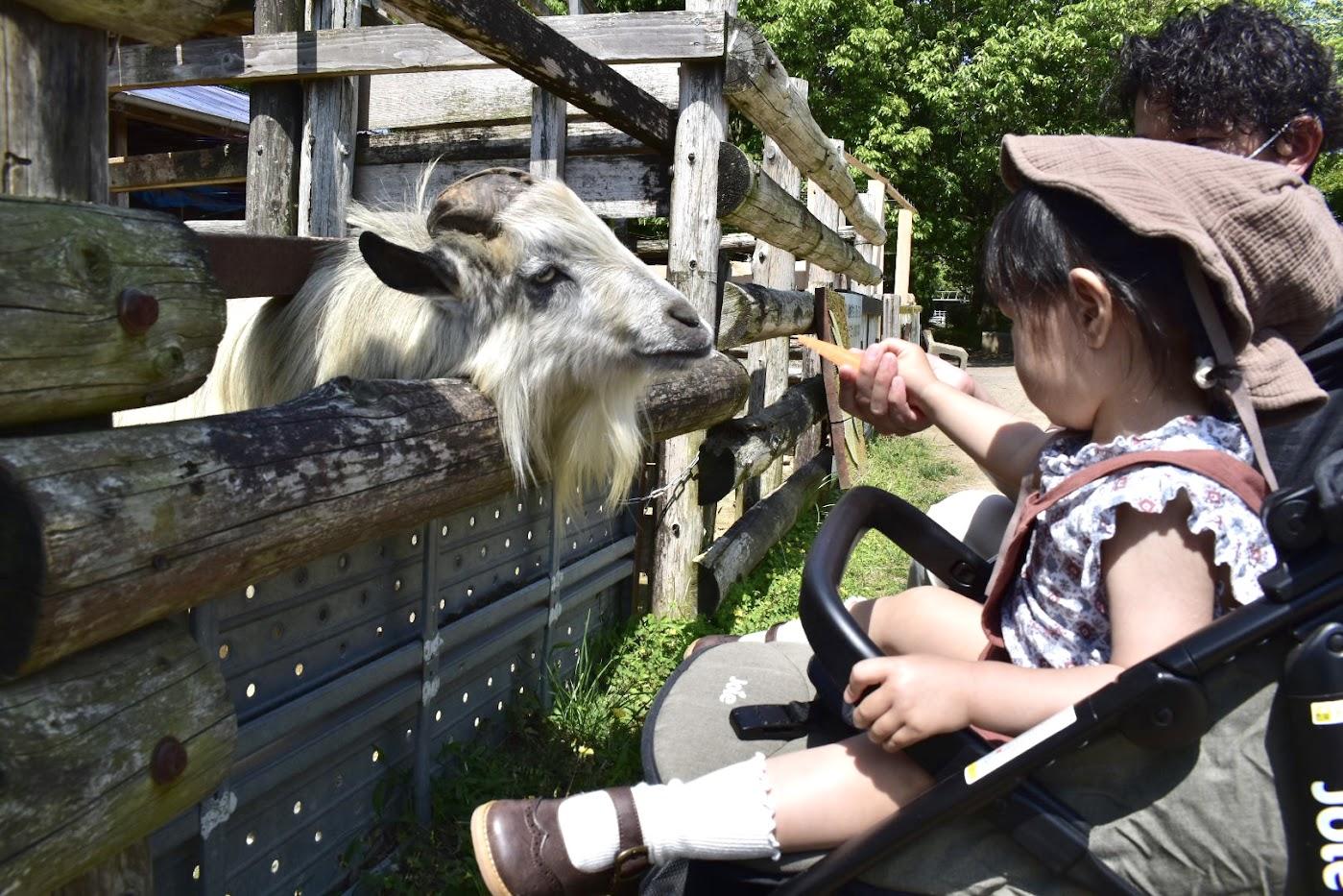 小動物園でドキドキの体験を！-1