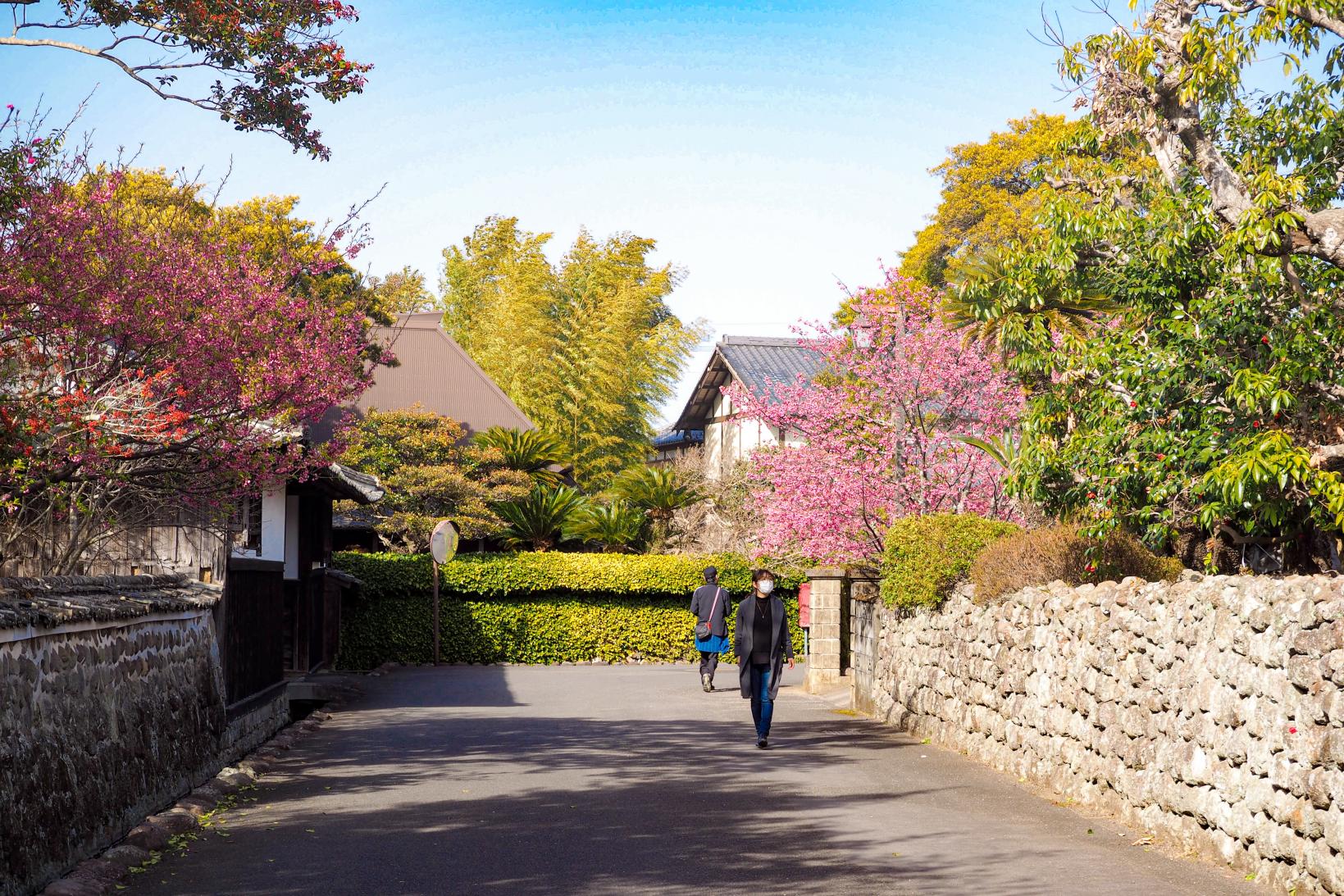 今、神代駅の周辺にある「神代小路」が静かに熱い！まるで時が止まったかのような美しい街並みを歩こう★-0