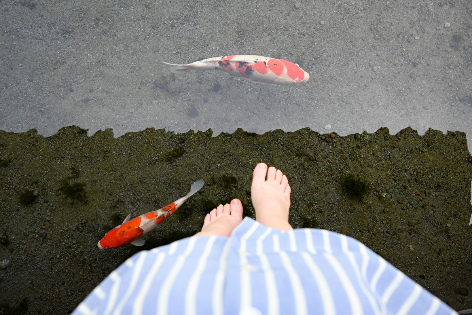 庭園には大小3つの池があり、なんと1日3000tの水が湧き出ているんです!!-0