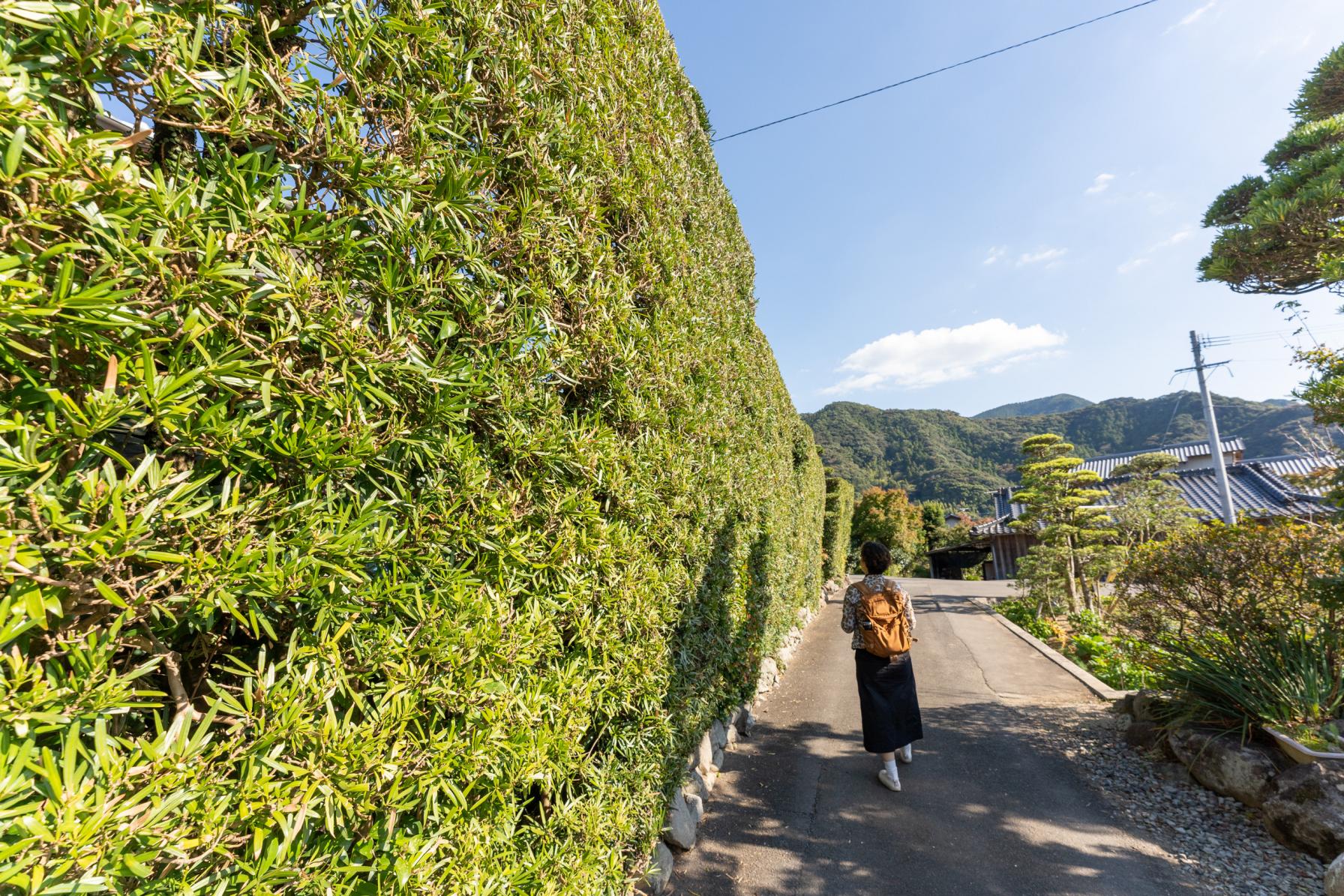 町全体が巨大な日本庭園みたい！-2