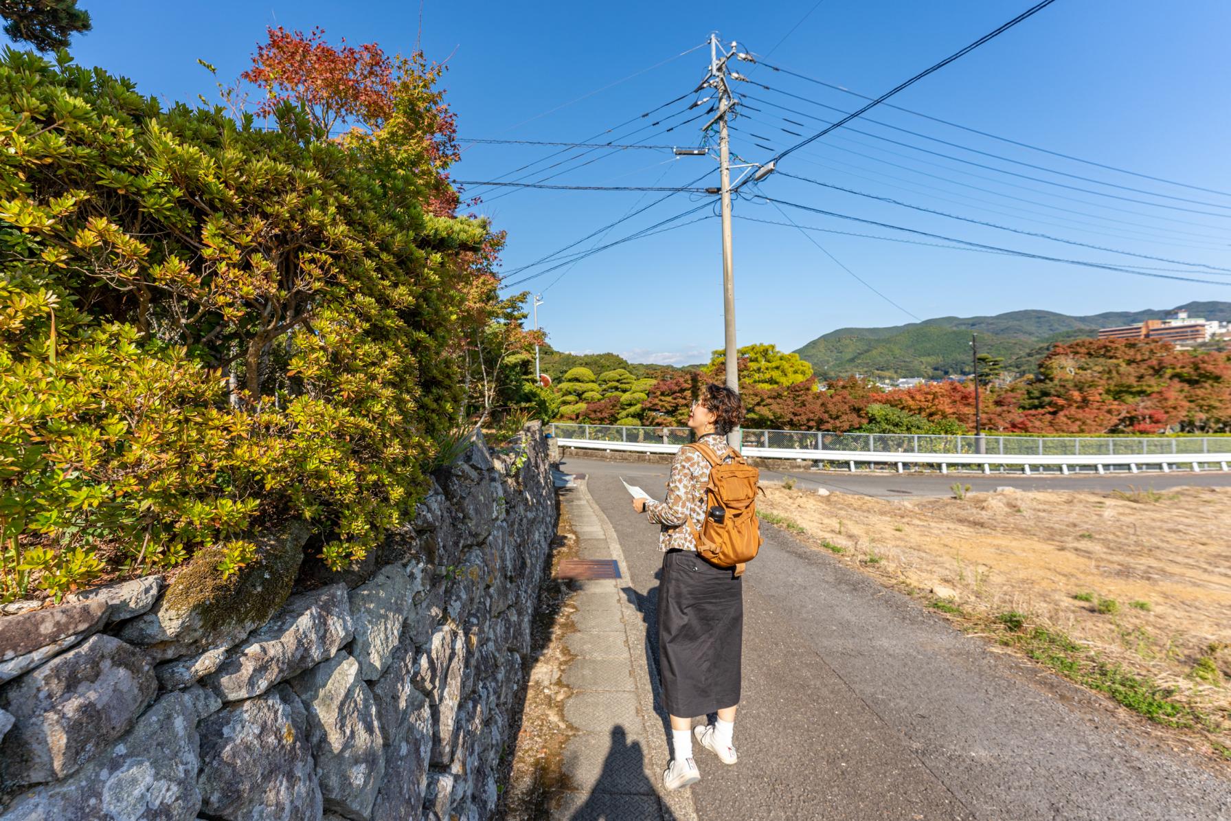 通り沿いからでもやっぱりすごい。【迎仙閣】-0