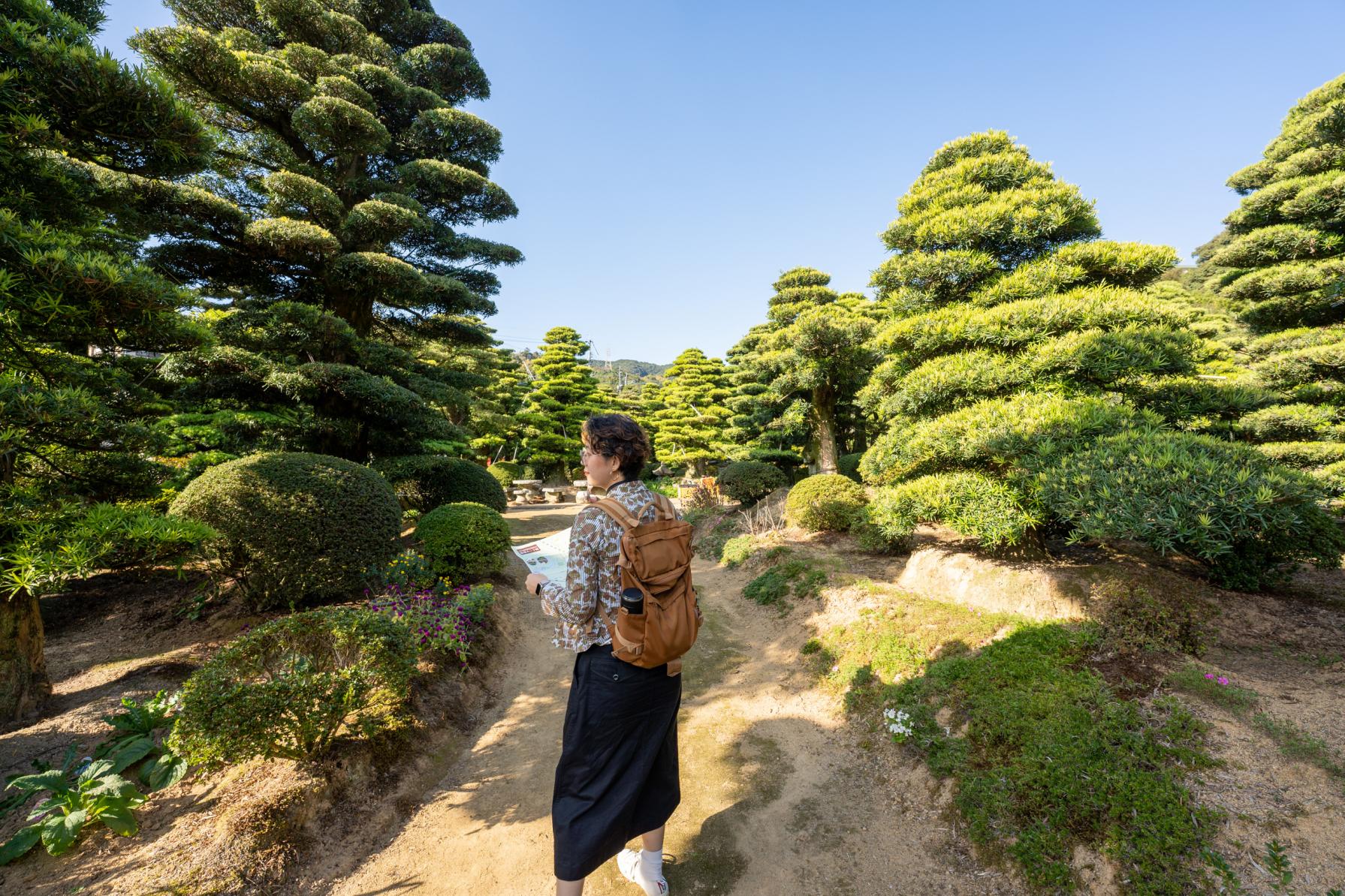 日本庭園の中に植えられたお花もかわいい。【茂樹園】-0