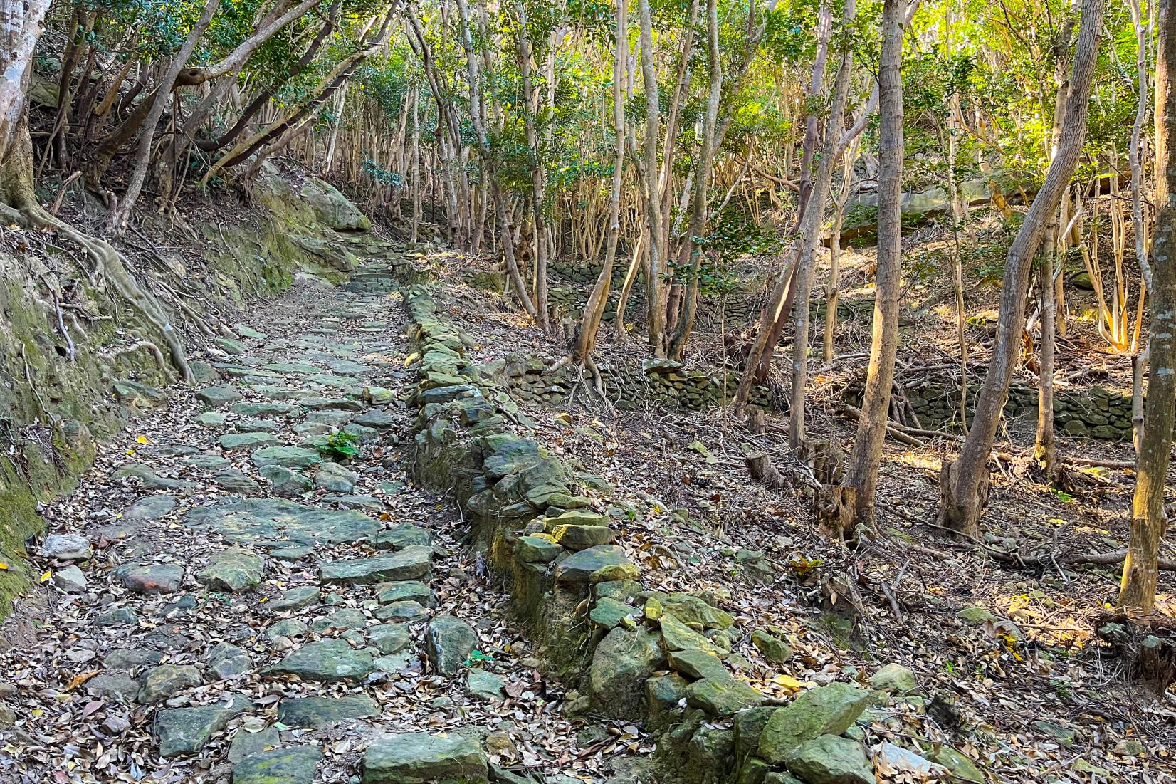 優美な建築、珍しい石造りの教会で歴史を感じよう！-3