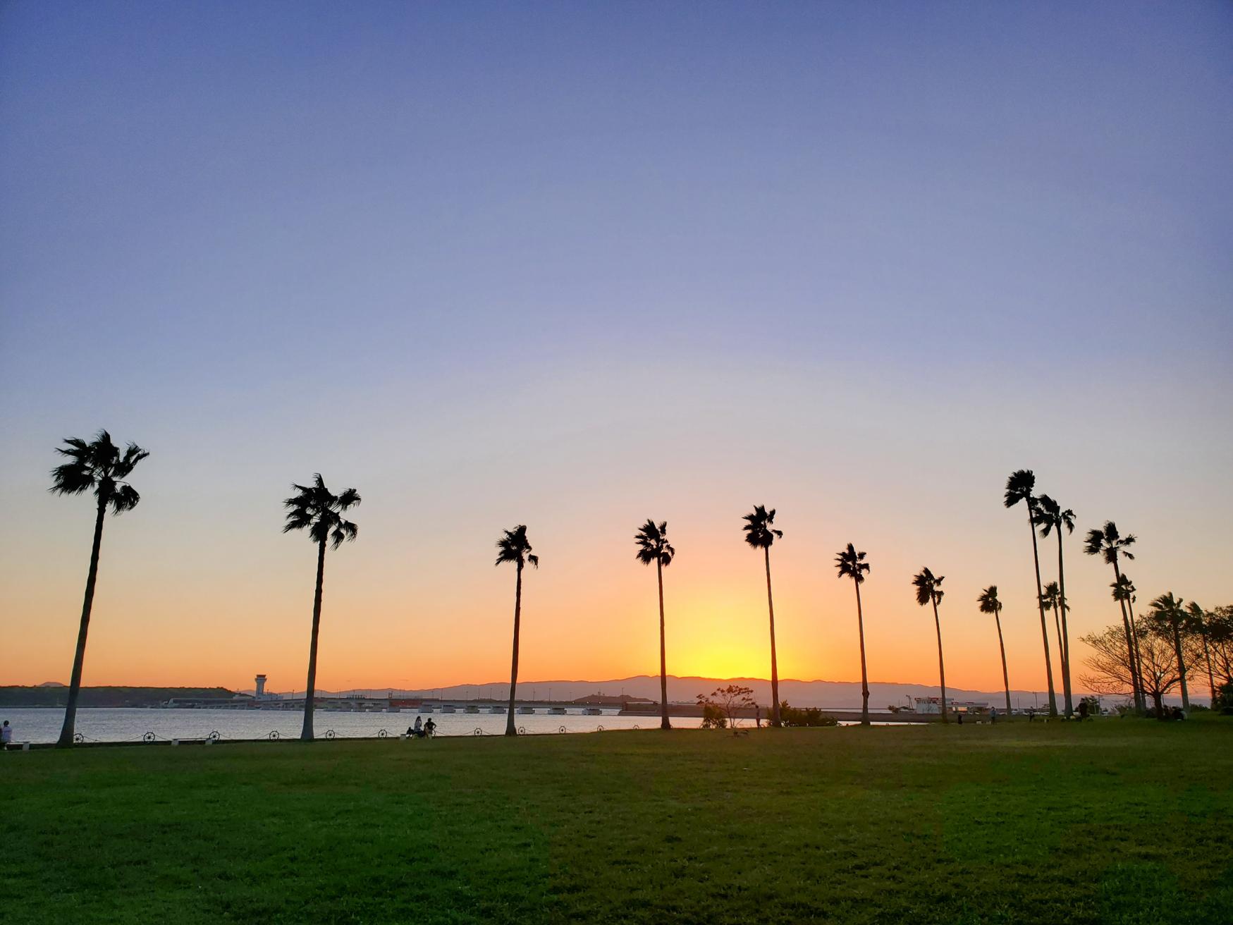 夕陽と大村湾の絶景を楽しむゴールデンタイムもおすすめ！-0