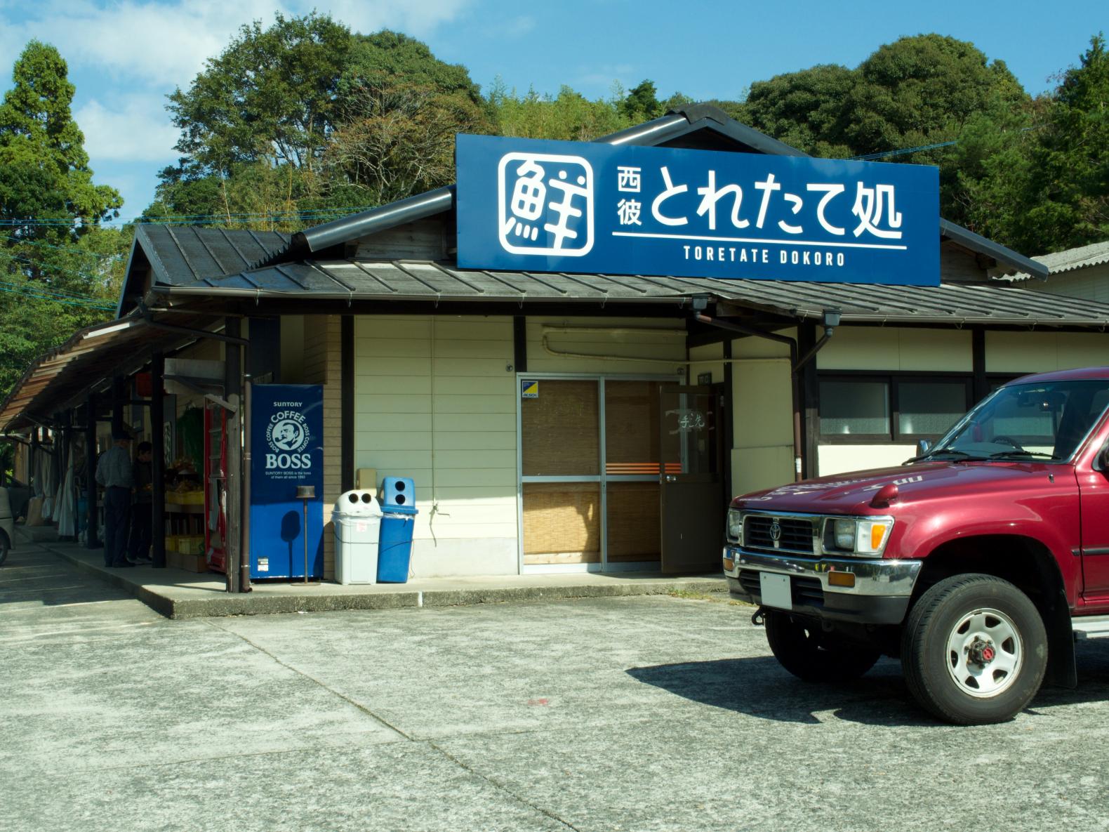 魚介類が豊富！③西彼とれたて処　西彼本店-0