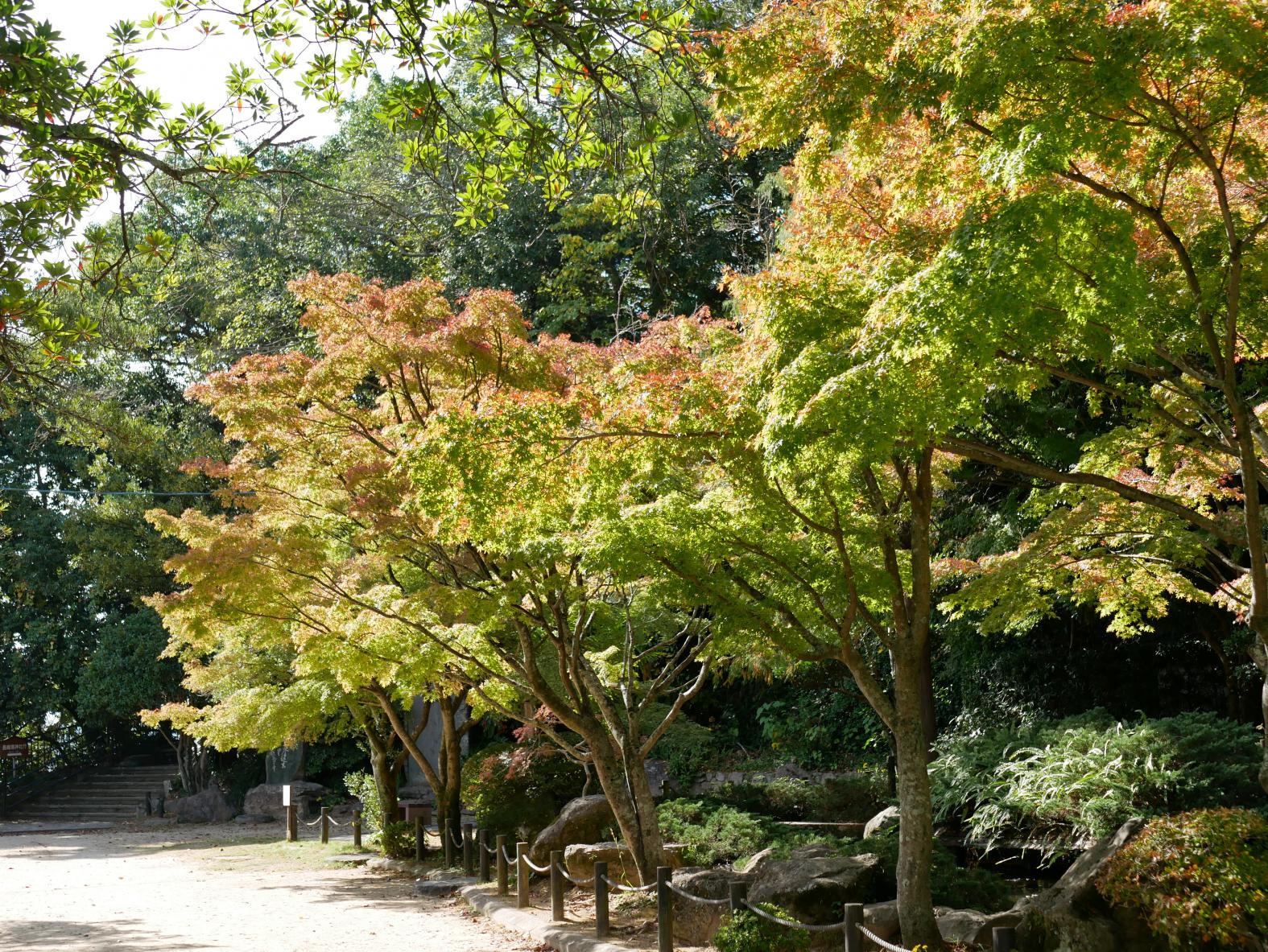 長崎県で最も古い公園「長崎公園」-1