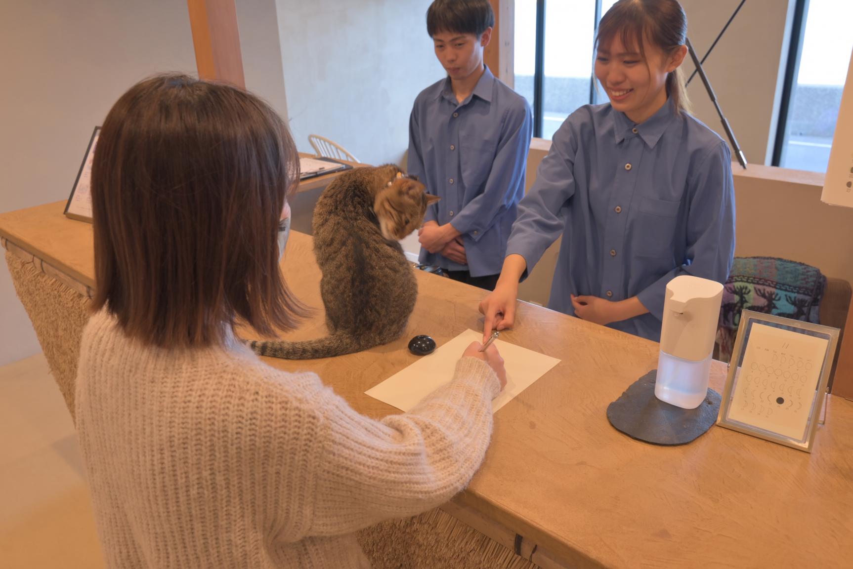 １日目 午後：宿泊する「月と海」にチェックイン-0