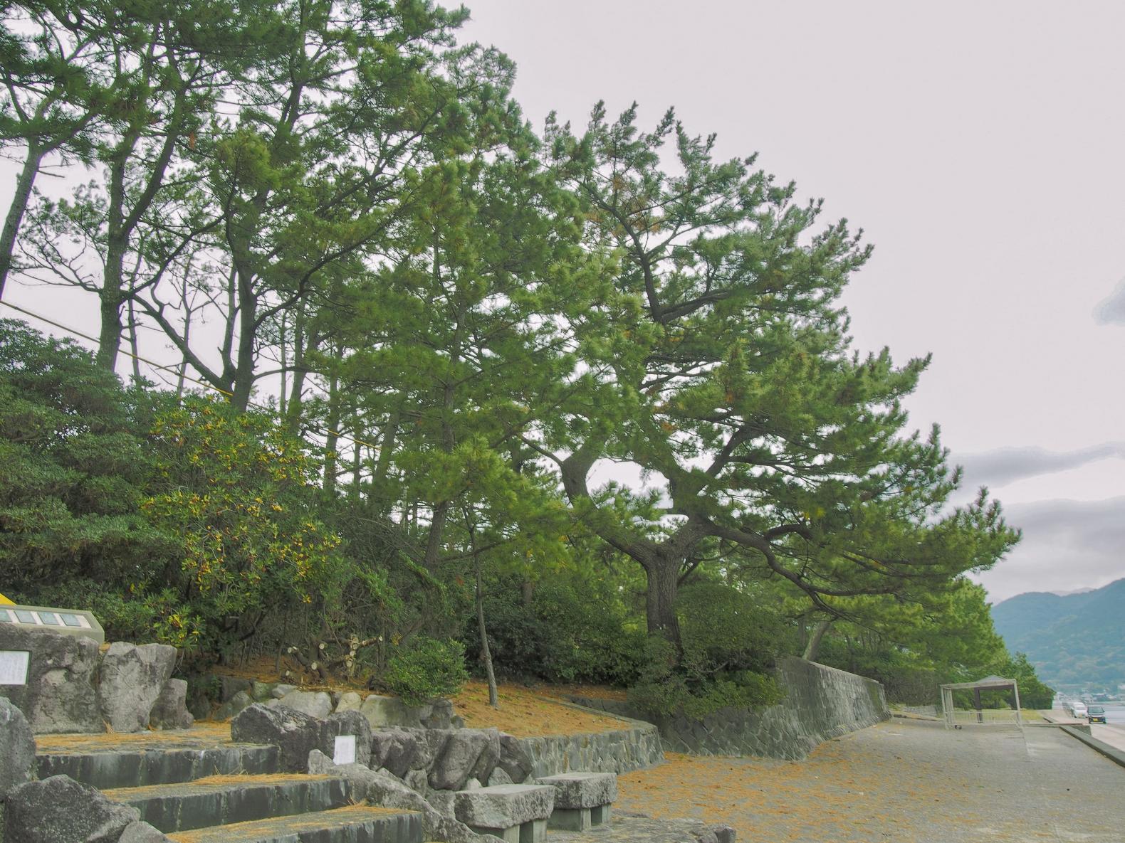 千々石海岸で焚き火アイテムを手に入れよう-0