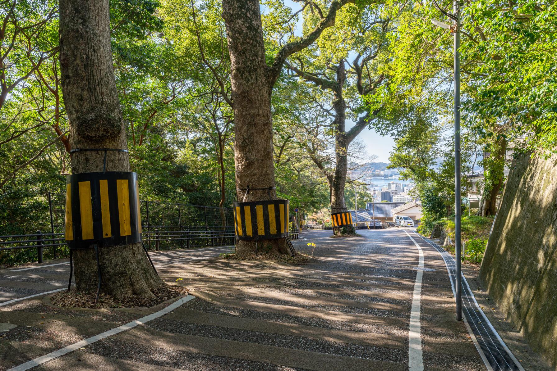 【七高山めぐり（１日目）】諏訪神社から金比羅さんへ-1