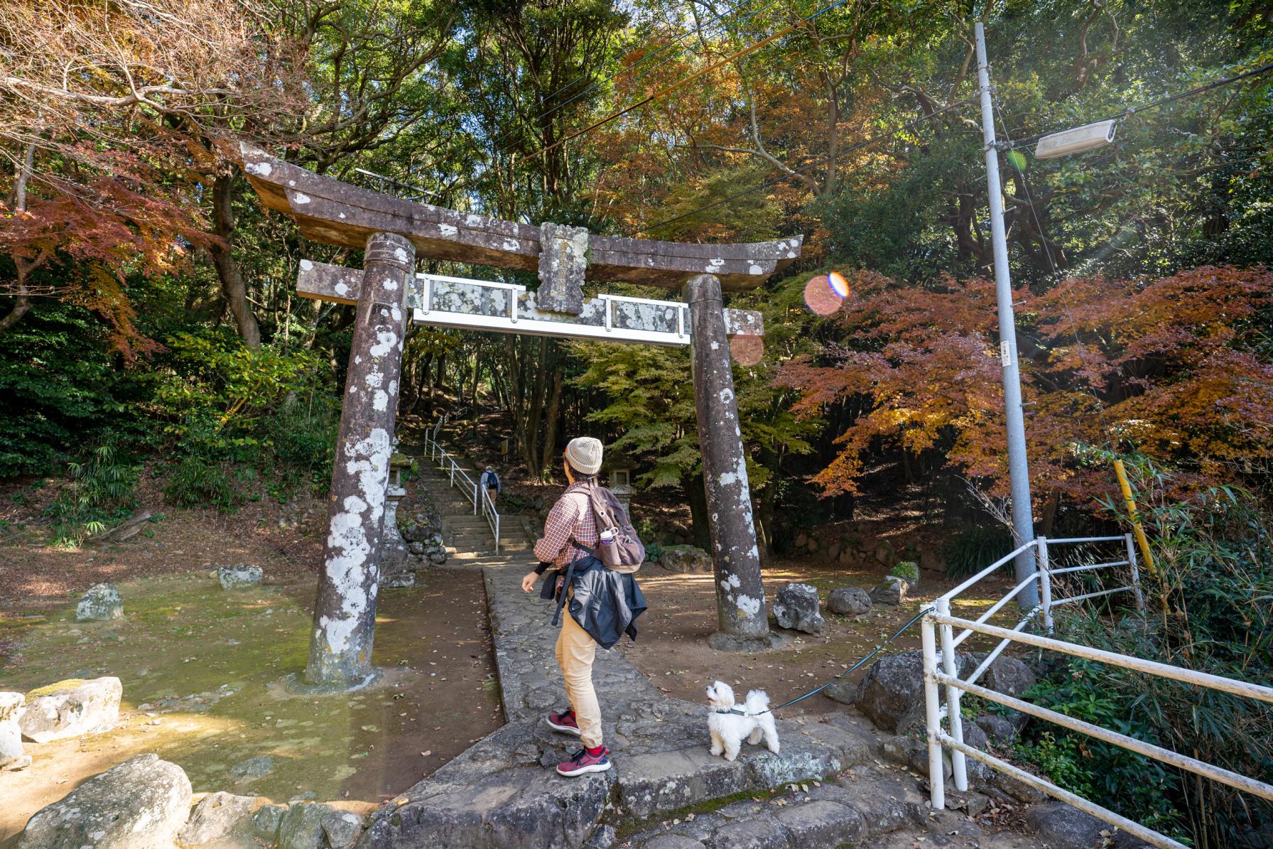 【七高山めぐり（１日目）】諏訪神社から金比羅さんへ-2