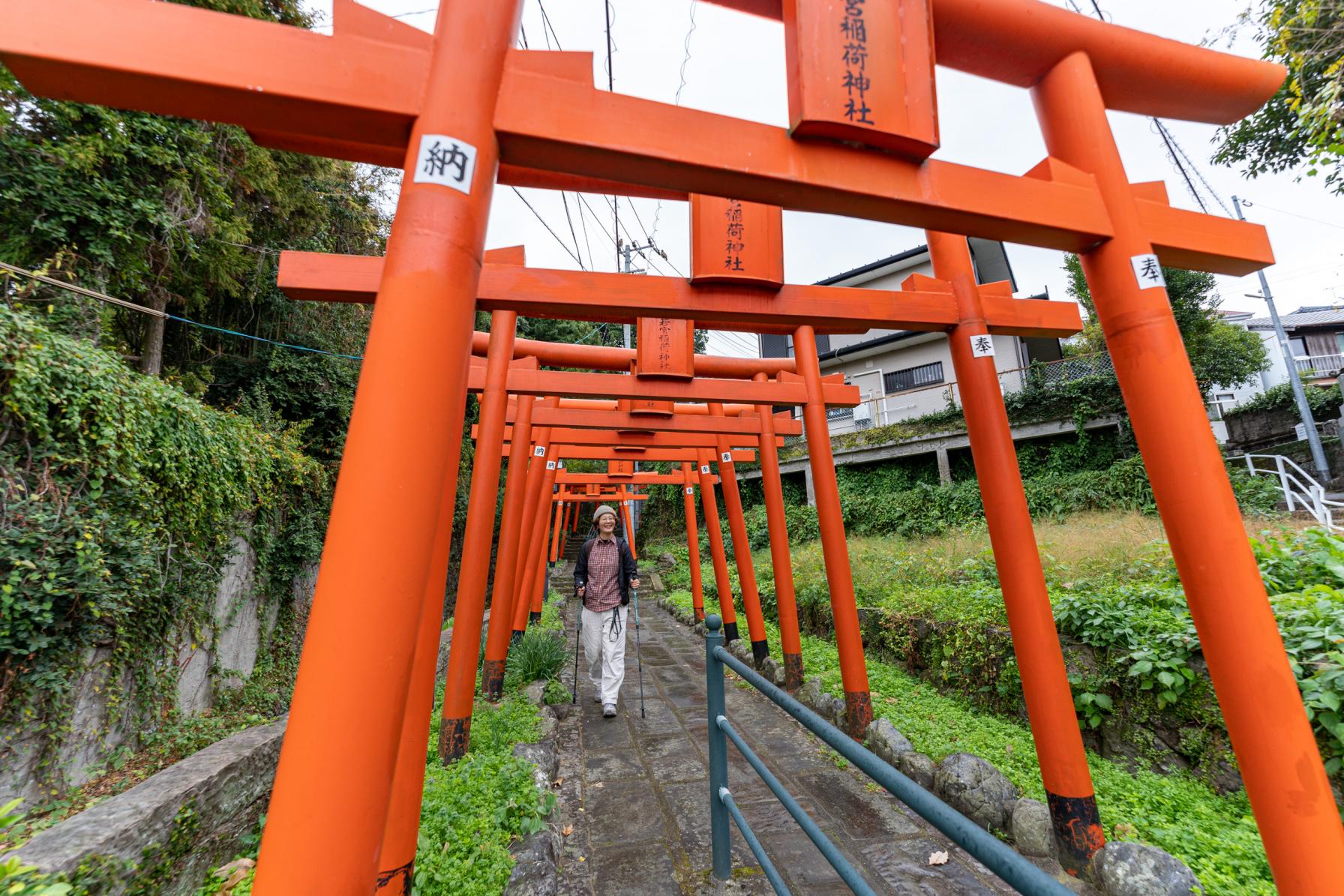 若宮稲荷神社-2